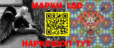 стаф Новокубанск