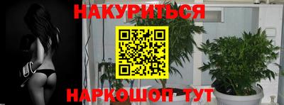 эйфоретик Новодвинск