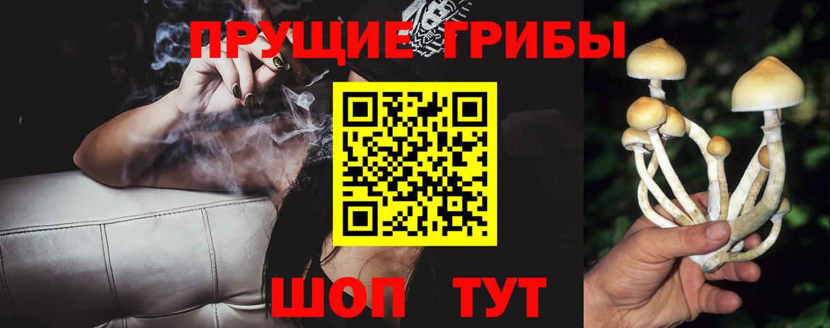 Псилоцибиновые грибы Psilocybe  Вход с VPN  Нурлат 